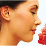 smell, odor, aroma, scent